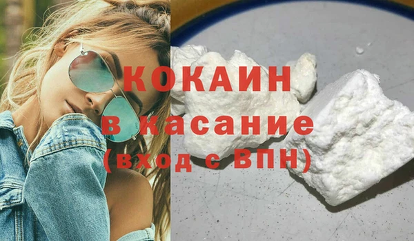 соль ск Алзамай
