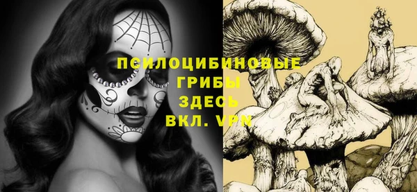мескалин Алексин