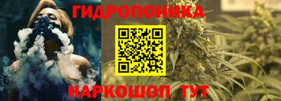 индика Тара