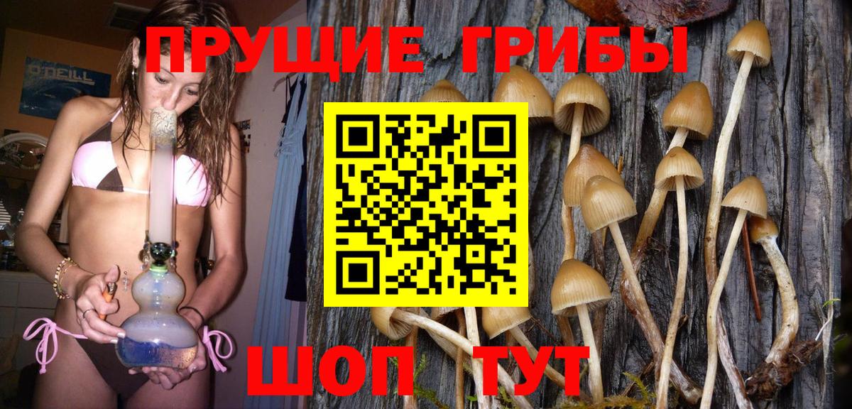 Галлюциногенные грибы Magic Shrooms Полысаево