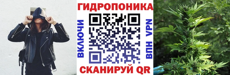 ссылка на мегу как зайти  купить наркотик  Полысаево  Марихуана SATIVA & INDICA 